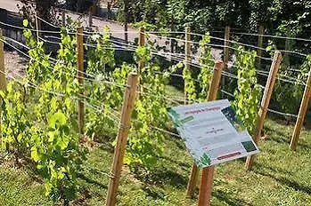 Logis Le Pan De Bois 布里维安德斯